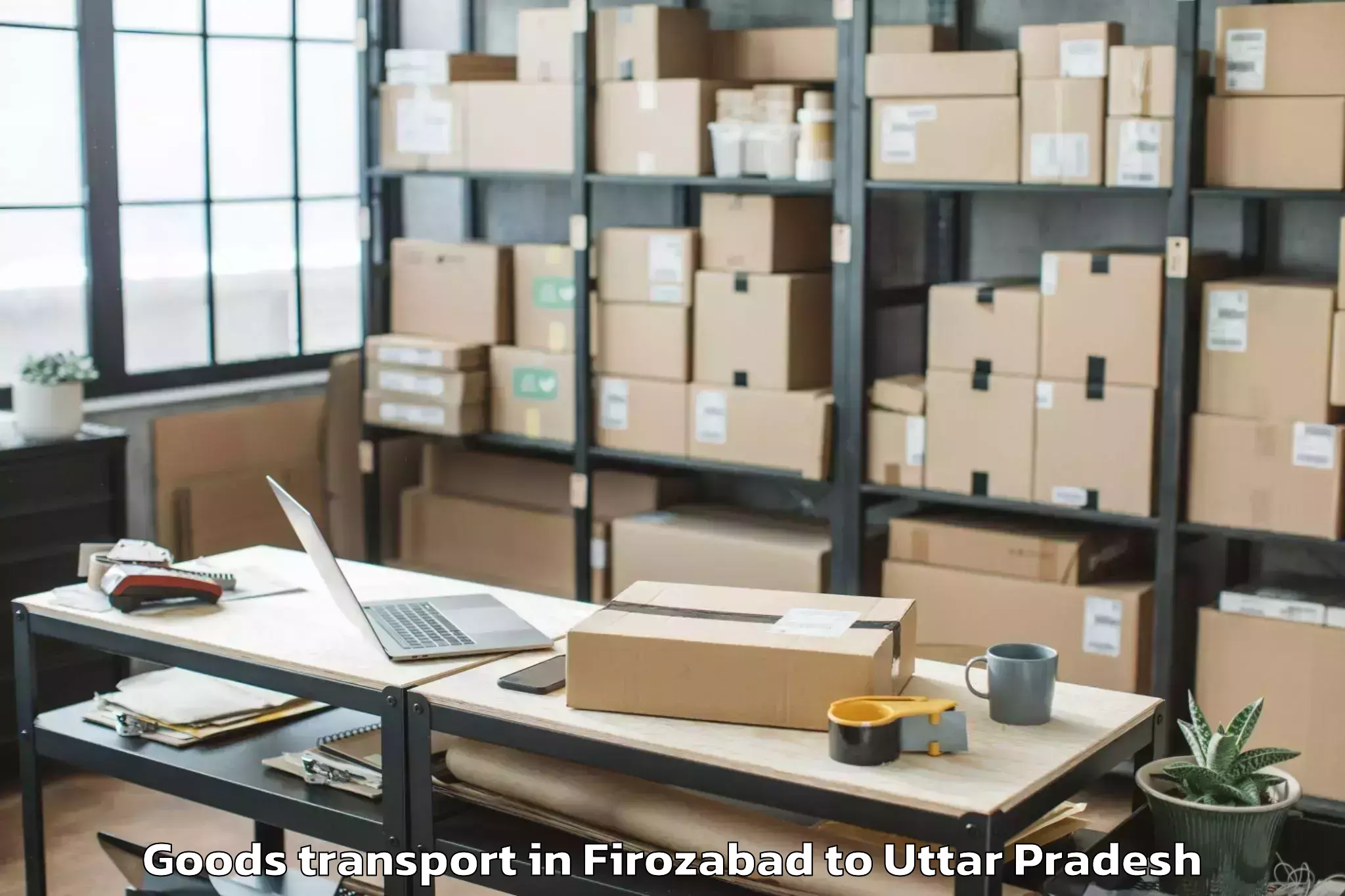 Top Firozabad to Talbahat Goods Transport Available